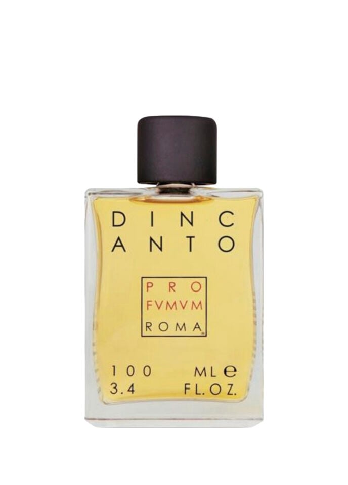 Dincanto EDP 100 ml Erkek Parfüm