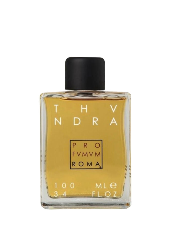 Thundra EDP 100 ml Unisex Parfüm